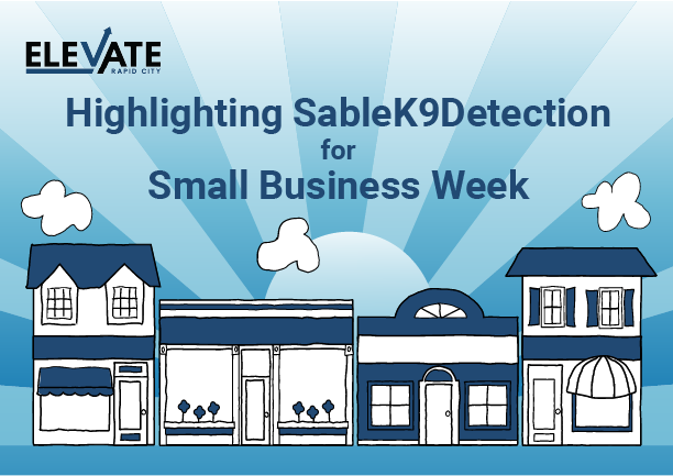 SableK9Detection: Sniffing Out Bed Bugs with Strategy - Elevate Rapid City